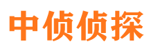 郴州市侦探调查公司